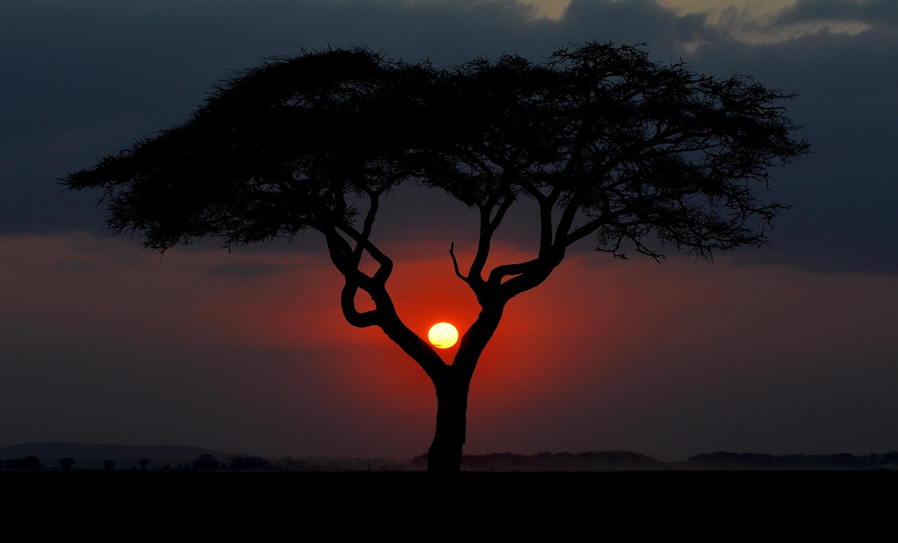What to Know Before Visiting Kenya