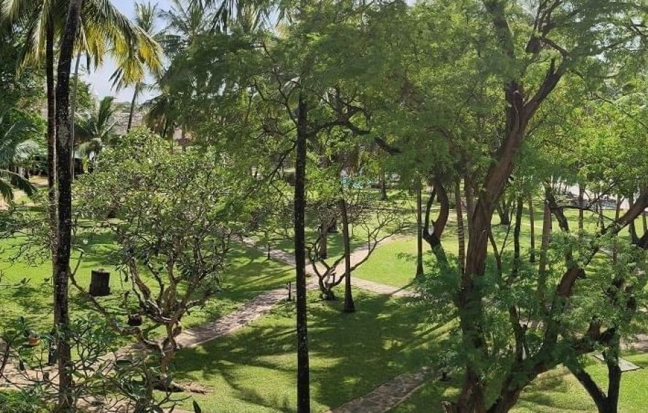 Deluxe Twin Garden View