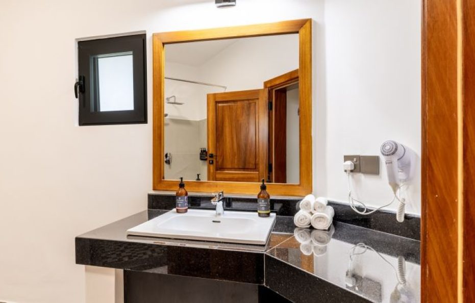 Superior Room Without Balcony