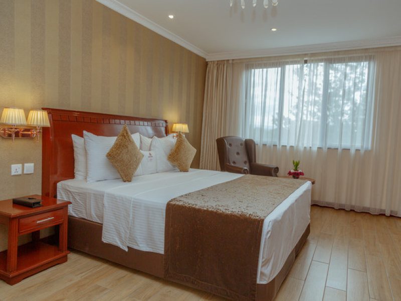 Woodlands State Suite