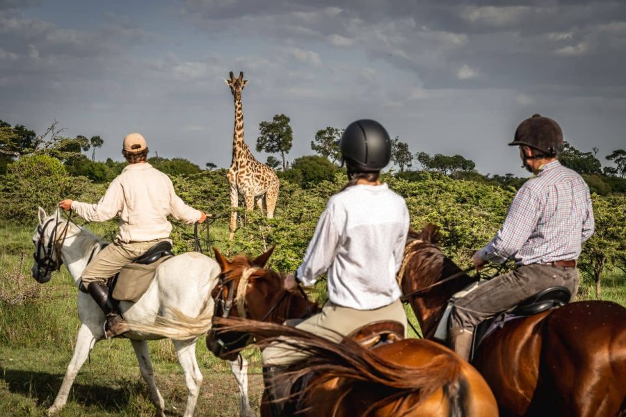 Horse Riding Safaris in Masai Mara