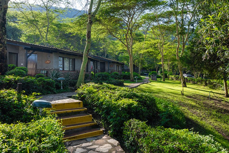 SAROVA LION HILL GAME LODGE