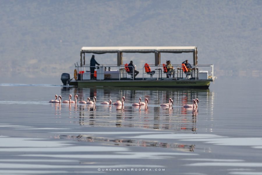 The Cliff Boat Safaris