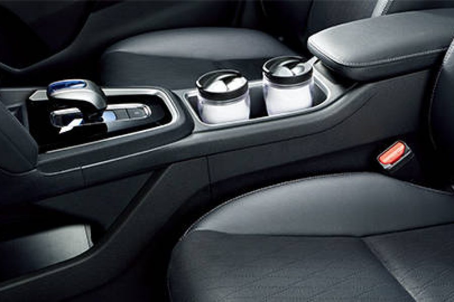 Shuttle VIP chauffeur WT