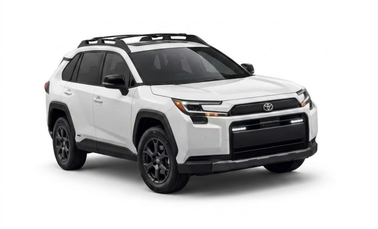 RAV4 VIP chauffeur WT