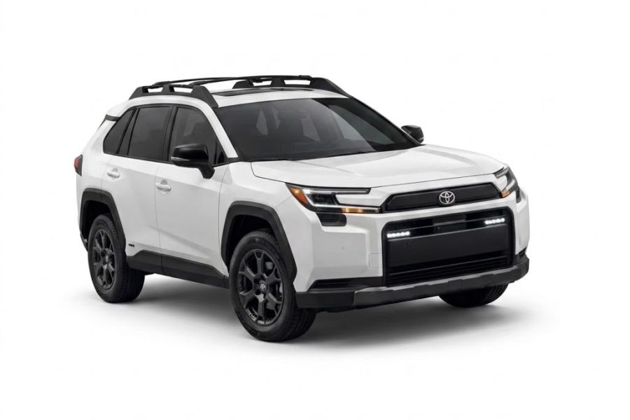 RAV4 White chauffeur
