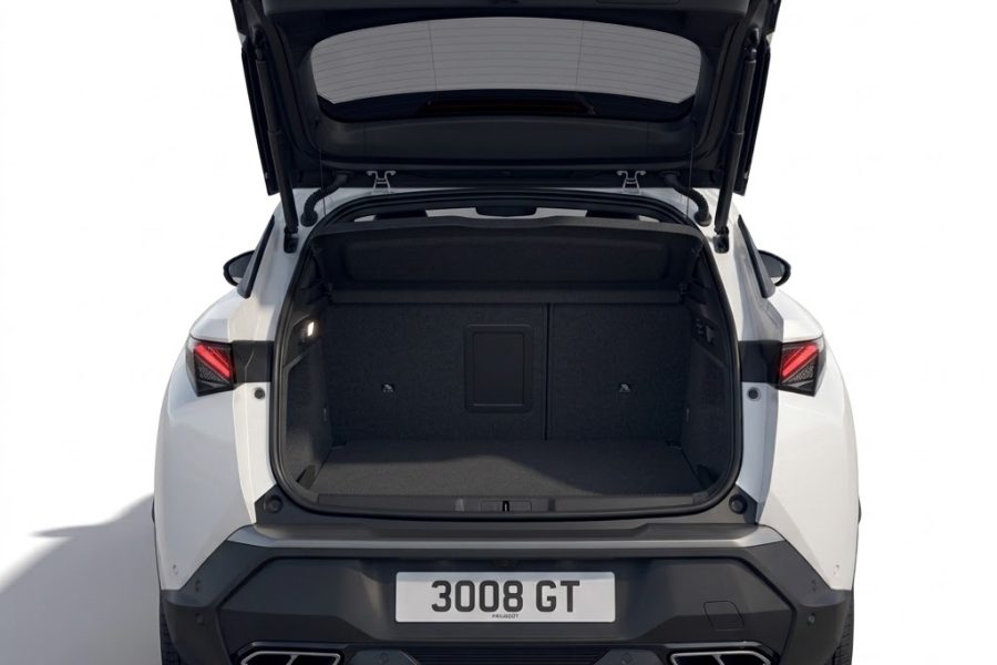 Peugeot 3008 VIP chauffeur WT