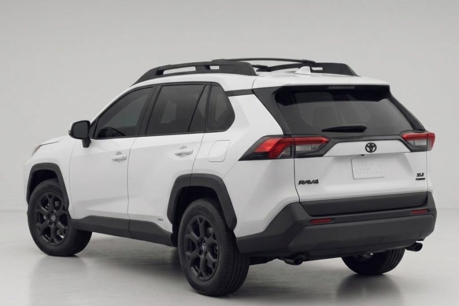 RAV4 VIP chauffeur WT