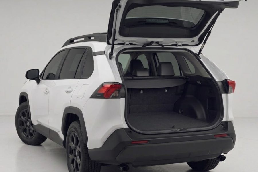 RAV4 VIP chauffeur WT