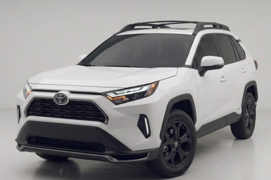 RAV4 VIP chauffeur WT