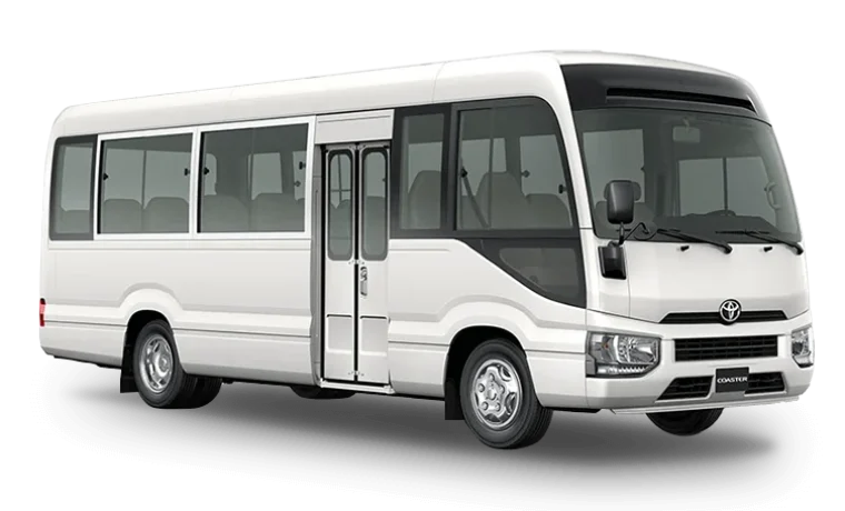 Coaster White chauffeur