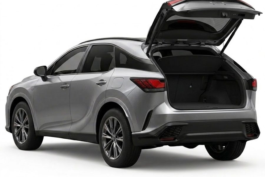 Lexus RX VIP chauffeur SV