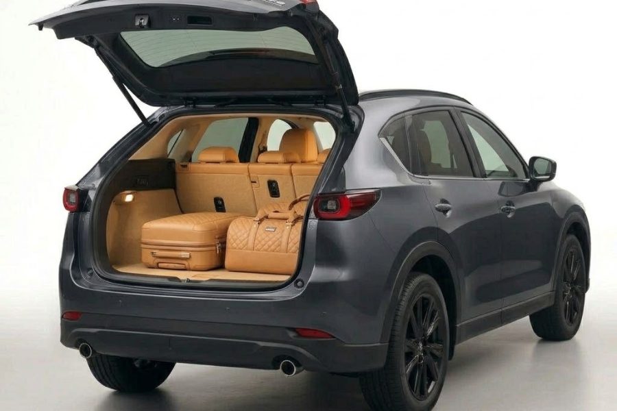 CX-5 VIP chauffeur GR