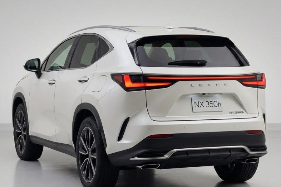 Lexus NX VIP chauffeur WT
