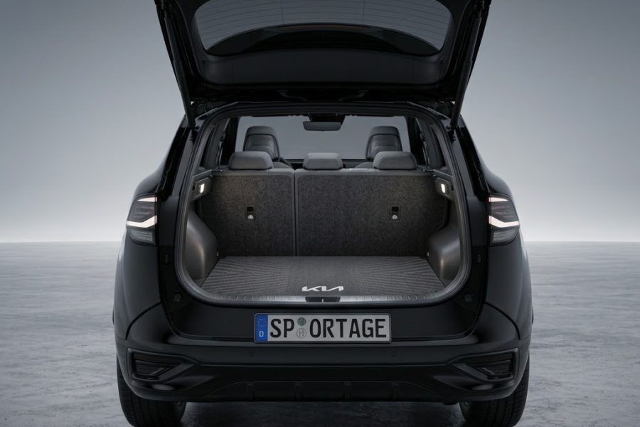 Sportage VIP chauffeur BLK