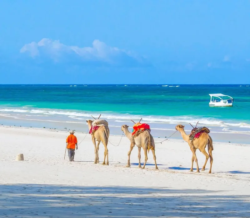3 Days 2 Nights Swahili Beach Resort Luxury Holiday Package
