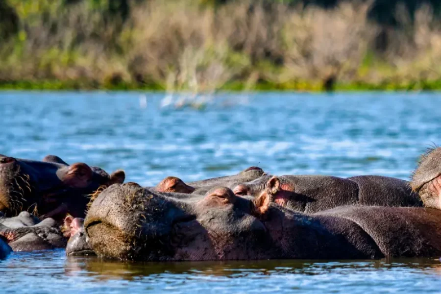 12 Days 11 Nights Ultimate Luxury Safari & Beach Experience