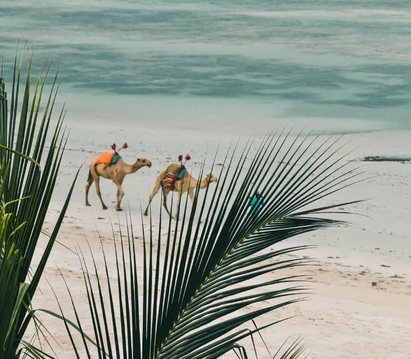 3 Days North Coast Holiday Escape