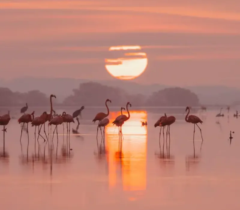 4 Days 3 Nights Elementaita Festive Package