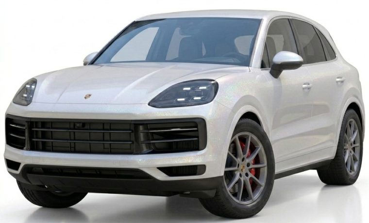 Cayenne VIP chauffeur WT